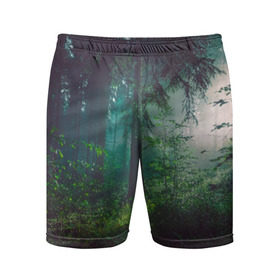 Мужские шорты 3D спортивные с принтом Таинственный лес в Екатеринбурге,  |  | Тематика изображения на принте: деревья | зелень | на макете изображен таинственный зеленый леслес