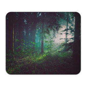 Коврик прямоугольный с принтом Таинственный лес в Екатеринбурге, натуральный каучук | размер 230 х 185 мм; запечатка лицевой стороны | Тематика изображения на принте: деревья | зелень | на макете изображен таинственный зеленый леслес