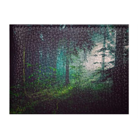 Обложка для студенческого билета с принтом Таинственный лес в Екатеринбурге, натуральная кожа | Размер: 11*8 см; Печать на всей внешней стороне | деревья | зелень | на макете изображен таинственный зеленый леслес