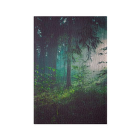Обложка для паспорта матовая кожа с принтом Таинственный лес в Екатеринбурге, натуральная матовая кожа | размер 19,3 х 13,7 см; прозрачные пластиковые крепления | Тематика изображения на принте: деревья | зелень | на макете изображен таинственный зеленый леслес