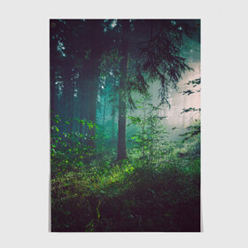 Постер с принтом Таинственный лес в Екатеринбурге, 100% бумага
 | бумага, плотность 150 мг. Матовая, но за счет высокого коэффициента гладкости имеет небольшой блеск и дает на свету блики, но в отличии от глянцевой бумаги не покрыта лаком | Тематика изображения на принте: деревья | зелень | на макете изображен таинственный зеленый леслес