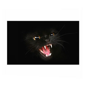 Бумага для упаковки 3D с принтом Черный кот в Екатеринбурге, пластик и полированная сталь | круглая форма, металлическое крепление в виде кольца | глаза | клыки | хищник | черный кон