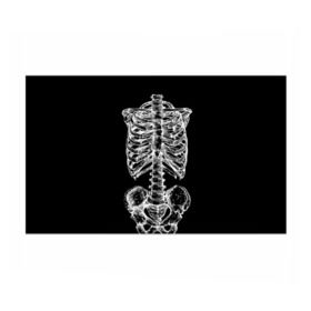Бумага для упаковки 3D с принтом Скелет в Екатеринбурге, пластик и полированная сталь | круглая форма, металлическое крепление в виде кольца | скелет