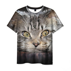 Мужская футболка 3D с принтом Кот в Екатеринбурге, 100% полиэфир | прямой крой, круглый вырез горловины, длина до линии бедер | домашняя | животное | кот | котэ | кошка