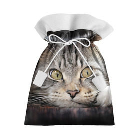 Подарочный 3D мешок с принтом Кот в Екатеринбурге, 100% полиэстер | Размер: 29*39 см | домашняя | животное | кот | котэ | кошка