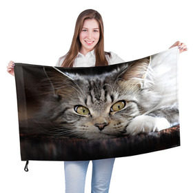 Флаг 3D с принтом Кот в Екатеринбурге, 100% полиэстер | плотность ткани — 95 г/м2, размер — 67 х 109 см. Принт наносится с одной стороны | домашняя | животное | кот | котэ | кошка