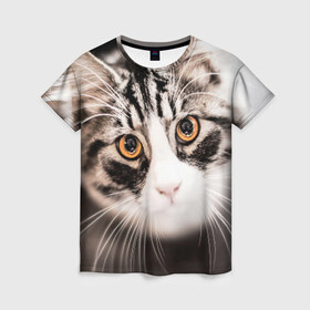 Женская футболка 3D с принтом Кот в Екатеринбурге, 100% полиэфир ( синтетическое хлопкоподобное полотно) | прямой крой, круглый вырез горловины, длина до линии бедер | домашняя | животное | кот | котэ | кошка