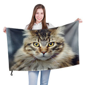 Флаг 3D с принтом Кот в Екатеринбурге, 100% полиэстер | плотность ткани — 95 г/м2, размер — 67 х 109 см. Принт наносится с одной стороны | домашняя | животное | кот | котэ | кошка