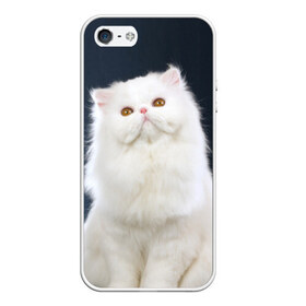 Чехол силиконовый для Телефон Apple iPhone 5/5S с принтом Кот в Екатеринбурге, Силикон | Область печати: задняя сторона чехла, без боковых панелей | домашняя | животное | кот | котэ | кошка