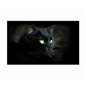 Бумага для упаковки 3D с принтом Черный в Екатеринбурге, пластик и полированная сталь | круглая форма, металлическое крепление в виде кольца | домашняя | животное | кот | котэ | кошка | черный
