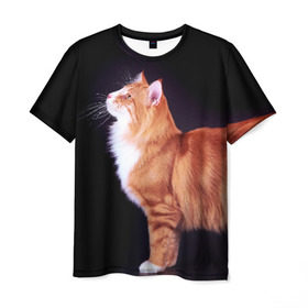 Мужская футболка 3D с принтом Рыжий кот в Екатеринбурге, 100% полиэфир | прямой крой, круглый вырез горловины, длина до линии бедер | домашняя | животное | кот | котэ | кошка | рыжая
