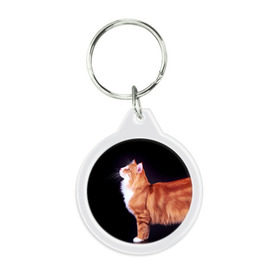 Брелок круглый с принтом Рыжий кот в Екатеринбурге, пластик и полированная сталь | круглая форма, металлическое крепление в виде кольца | Тематика изображения на принте: домашняя | животное | кот | котэ | кошка | рыжая