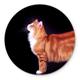 Коврик круглый с принтом Рыжий кот в Екатеринбурге, резина и полиэстер | круглая форма, изображение наносится на всю лицевую часть | домашняя | животное | кот | котэ | кошка | рыжая