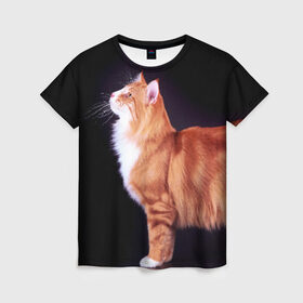 Женская футболка 3D с принтом Рыжий кот в Екатеринбурге, 100% полиэфир ( синтетическое хлопкоподобное полотно) | прямой крой, круглый вырез горловины, длина до линии бедер | домашняя | животное | кот | котэ | кошка | рыжая