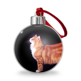 Ёлочный шар с принтом Рыжий кот в Екатеринбурге, Пластик | Диаметр: 77 мм | домашняя | животное | кот | котэ | кошка | рыжая
