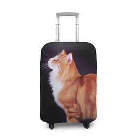 Чехол для чемодана 3D с принтом Рыжий кот в Екатеринбурге, 86% полиэфир, 14% спандекс | двустороннее нанесение принта, прорези для ручек и колес | домашняя | животное | кот | котэ | кошка | рыжая