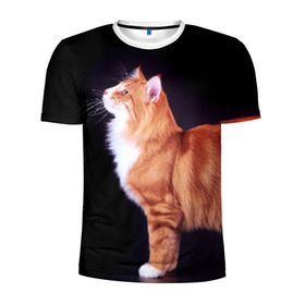Мужская футболка 3D спортивная с принтом Рыжий кот в Екатеринбурге, 100% полиэстер с улучшенными характеристиками | приталенный силуэт, круглая горловина, широкие плечи, сужается к линии бедра | Тематика изображения на принте: домашняя | животное | кот | котэ | кошка | рыжая
