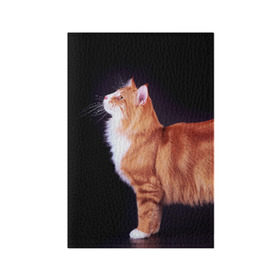 Обложка для паспорта матовая кожа с принтом Рыжий кот в Екатеринбурге, натуральная матовая кожа | размер 19,3 х 13,7 см; прозрачные пластиковые крепления | домашняя | животное | кот | котэ | кошка | рыжая