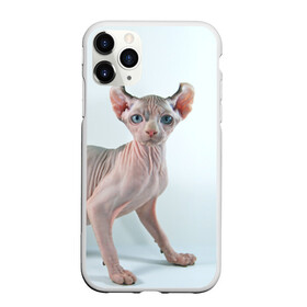Чехол для iPhone 11 Pro матовый с принтом Сфинкс в Екатеринбурге, Силикон |  | Тематика изображения на принте: домашняя | животное | кот | котэ | кошка | сфинкс