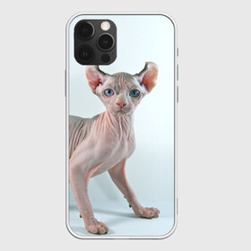 Чехол для iPhone 12 Pro Max с принтом Сфинкс в Екатеринбурге, Силикон |  | Тематика изображения на принте: домашняя | животное | кот | котэ | кошка | сфинкс