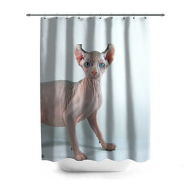 Штора 3D для ванной с принтом Сфинкс в Екатеринбурге, 100% полиэстер | плотность материала — 100 г/м2. Стандартный размер — 146 см х 180 см. По верхнему краю — пластиковые люверсы для креплений. В комплекте 10 пластиковых колец | домашняя | животное | кот | котэ | кошка | сфинкс