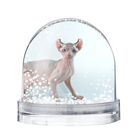 Снежный шар с принтом Сфинкс в Екатеринбурге, Пластик | Изображение внутри шара печатается на глянцевой фотобумаге с двух сторон | Тематика изображения на принте: домашняя | животное | кот | котэ | кошка | сфинкс