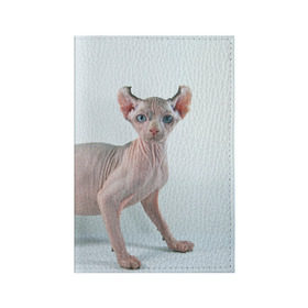 Обложка для паспорта матовая кожа с принтом Сфинкс в Екатеринбурге, натуральная матовая кожа | размер 19,3 х 13,7 см; прозрачные пластиковые крепления | домашняя | животное | кот | котэ | кошка | сфинкс