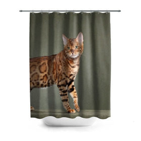 Штора 3D для ванной с принтом Бенгальский кот в Екатеринбурге, 100% полиэстер | плотность материала — 100 г/м2. Стандартный размер — 146 см х 180 см. По верхнему краю — пластиковые люверсы для креплений. В комплекте 10 пластиковых колец | бенгальский | домашняя | животное | кот | котэ | кошка