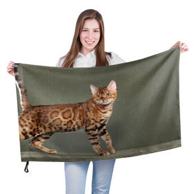 Флаг 3D с принтом Бенгальский кот в Екатеринбурге, 100% полиэстер | плотность ткани — 95 г/м2, размер — 67 х 109 см. Принт наносится с одной стороны | бенгальский | домашняя | животное | кот | котэ | кошка