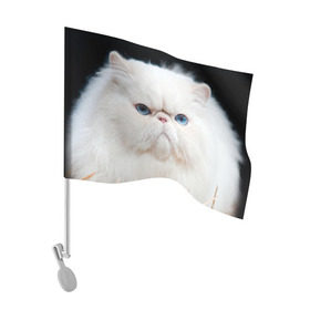 Флаг для автомобиля с принтом Персидский кот в Екатеринбурге, 100% полиэстер | Размер: 30*21 см | домашняя | животное | кот | котэ | кошка | персидский