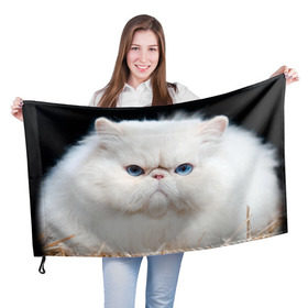 Флаг 3D с принтом Персидский кот в Екатеринбурге, 100% полиэстер | плотность ткани — 95 г/м2, размер — 67 х 109 см. Принт наносится с одной стороны | домашняя | животное | кот | котэ | кошка | персидский