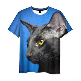 Мужская футболка 3D с принтом Черный кот в Екатеринбурге, 100% полиэфир | прямой крой, круглый вырез горловины, длина до линии бедер | домашняя | животное | кот | котэ | кошка | черный