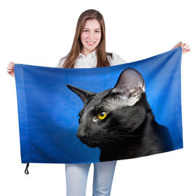 Флаг 3D с принтом Черный кот в Екатеринбурге, 100% полиэстер | плотность ткани — 95 г/м2, размер — 67 х 109 см. Принт наносится с одной стороны | домашняя | животное | кот | котэ | кошка | черный