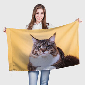 Флаг 3D с принтом Байкун в Екатеринбурге, 100% полиэстер | плотность ткани — 95 г/м2, размер — 67 х 109 см. Принт наносится с одной стороны | байкун | домашняя | животное | кот | котэ | кошка