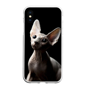 Чехол для iPhone XS Max матовый с принтом Сфинкс в Екатеринбурге, Силикон | Область печати: задняя сторона чехла, без боковых панелей | Тематика изображения на принте: домашняя | животное | кот | котэ | кошка | сфинкс