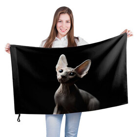 Флаг 3D с принтом Сфинкс в Екатеринбурге, 100% полиэстер | плотность ткани — 95 г/м2, размер — 67 х 109 см. Принт наносится с одной стороны | домашняя | животное | кот | котэ | кошка | сфинкс