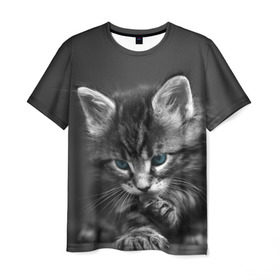Мужская футболка 3D с принтом Котенок в Екатеринбурге, 100% полиэфир | прямой крой, круглый вырез горловины, длина до линии бедер | домашняя | животное | кот | котэ | кошка