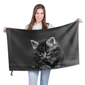 Флаг 3D с принтом Котенок в Екатеринбурге, 100% полиэстер | плотность ткани — 95 г/м2, размер — 67 х 109 см. Принт наносится с одной стороны | домашняя | животное | кот | котэ | кошка
