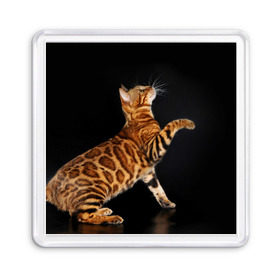 Магнит 55*55 с принтом Бенгальская кошка в Екатеринбурге, Пластик | Размер: 65*65 мм; Размер печати: 55*55 мм | бенгальская | домашняя | животное | кот | котэ | кошка