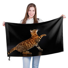 Флаг 3D с принтом Бенгальская кошка в Екатеринбурге, 100% полиэстер | плотность ткани — 95 г/м2, размер — 67 х 109 см. Принт наносится с одной стороны | бенгальская | домашняя | животное | кот | котэ | кошка