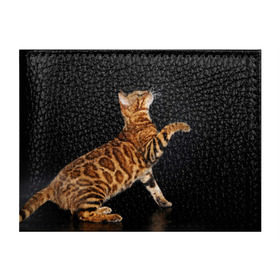 Обложка для студенческого билета с принтом Бенгальская кошка в Екатеринбурге, натуральная кожа | Размер: 11*8 см; Печать на всей внешней стороне | Тематика изображения на принте: бенгальская | домашняя | животное | кот | котэ | кошка