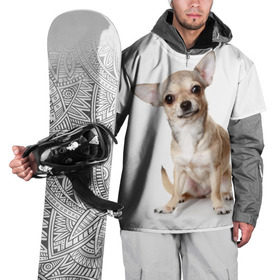 Накидка на куртку 3D с принтом Чихуахуа в Екатеринбурге, 100% полиэстер |  | Тематика изображения на принте: животное | порода | собака | чихуахуа