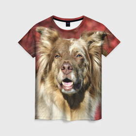 Женская футболка 3D с принтом Австралийская овчарка в Екатеринбурге, 100% полиэфир ( синтетическое хлопкоподобное полотно) | прямой крой, круглый вырез горловины, длина до линии бедер | австралийская овчарка | животное | порода | собака