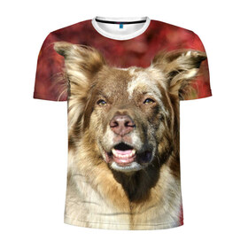 Мужская футболка 3D спортивная с принтом Австралийская овчарка в Екатеринбурге, 100% полиэстер с улучшенными характеристиками | приталенный силуэт, круглая горловина, широкие плечи, сужается к линии бедра | Тематика изображения на принте: австралийская овчарка | животное | порода | собака