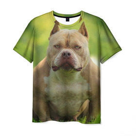 Мужская футболка 3D с принтом Американский булли в Екатеринбурге, 100% полиэфир | прямой крой, круглый вырез горловины, длина до линии бедер | американский булли | животное | порода | собака