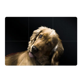 Магнитный плакат 3Х2 с принтом Английский кокер-спаниель в Екатеринбурге, Полимерный материал с магнитным слоем | 6 деталей размером 9*9 см | Тематика изображения на принте: английский кокер спаниель | животно | порода | собака