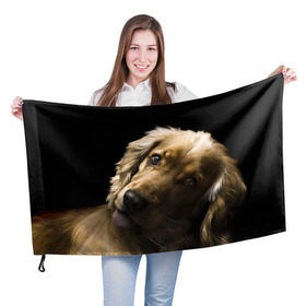Флаг 3D с принтом Английский кокер-спаниель в Екатеринбурге, 100% полиэстер | плотность ткани — 95 г/м2, размер — 67 х 109 см. Принт наносится с одной стороны | английский кокер спаниель | животно | порода | собака