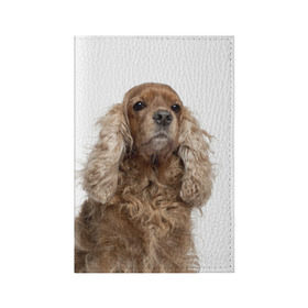 Обложка для паспорта матовая кожа с принтом Английский кокер-спаниель в Екатеринбурге, натуральная матовая кожа | размер 19,3 х 13,7 см; прозрачные пластиковые крепления | английский кокер спаниель | порода | собака