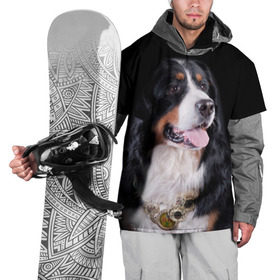 Накидка на куртку 3D с принтом Бернский зенненхунд в Екатеринбурге, 100% полиэстер |  | бернский зенненхунд | животное | порода | собака