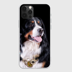 Чехол для iPhone 12 Pro Max с принтом Бернский зенненхунд в Екатеринбурге, Силикон |  | бернский зенненхунд | животное | порода | собака